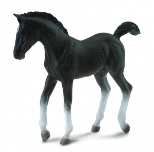 CollectA 88452 Tennessee Walker Fohlen schwarz bei spielzeug-guenstig.de