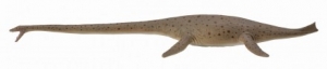 CollectA Urzeit Deluxe: CollectA Thalassomedon 1:40 88760