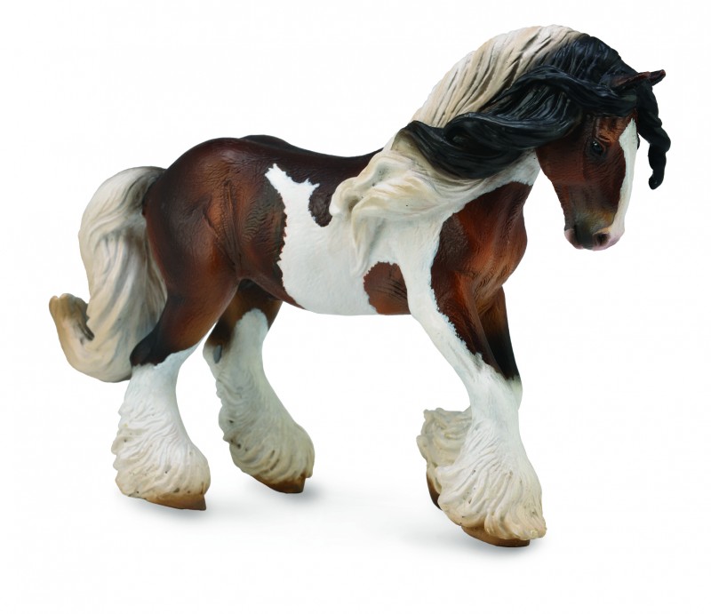 Pferd Tinker Hengst