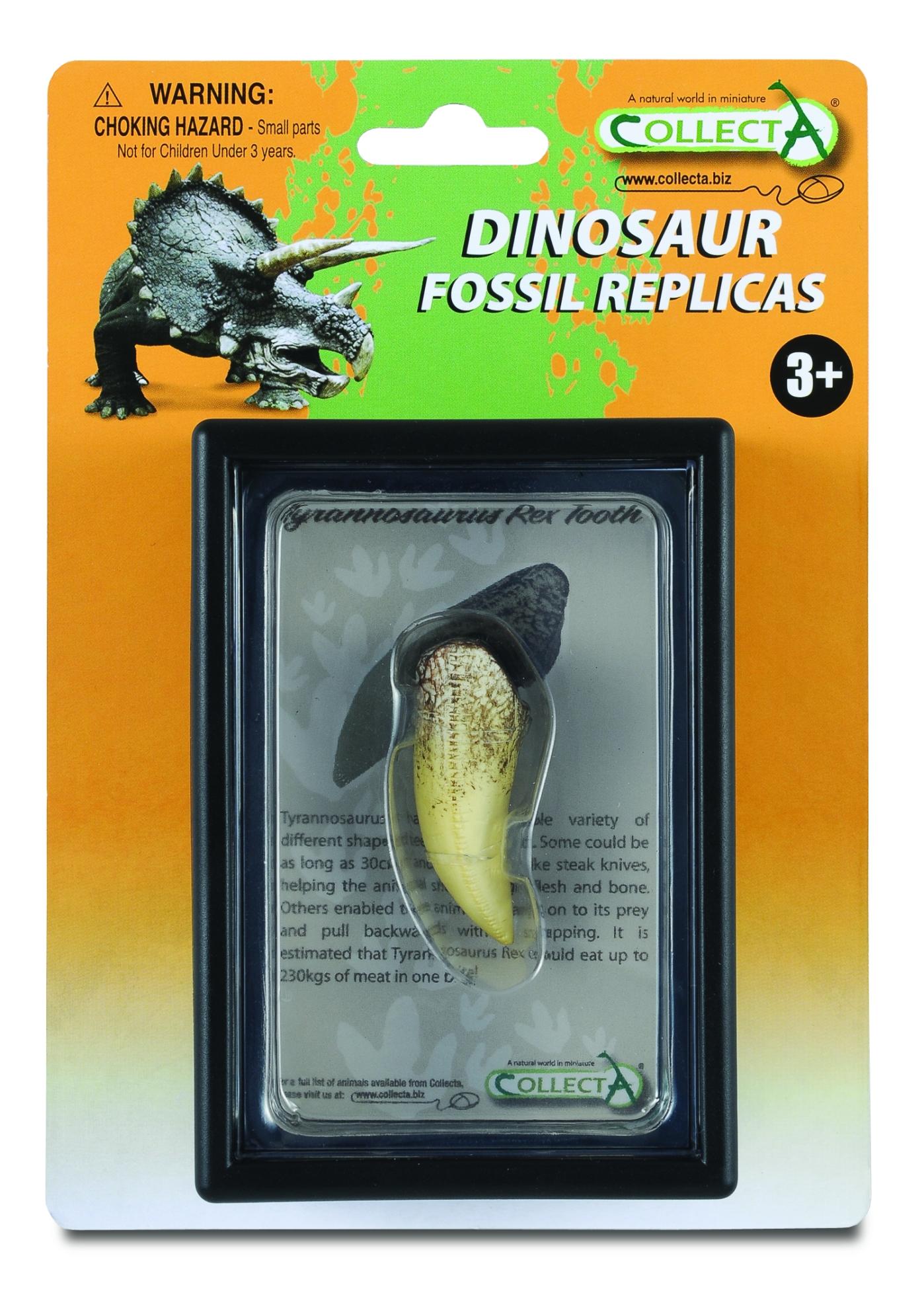 CollectA Tyrannosaurus Rex (grün CollectA Tyrannosaurus Rex (grün