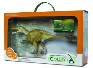 CollectA Urzeit Deluxe 1:40: CollectA VELOCIRAPTOR in Fensterverpackung 89207