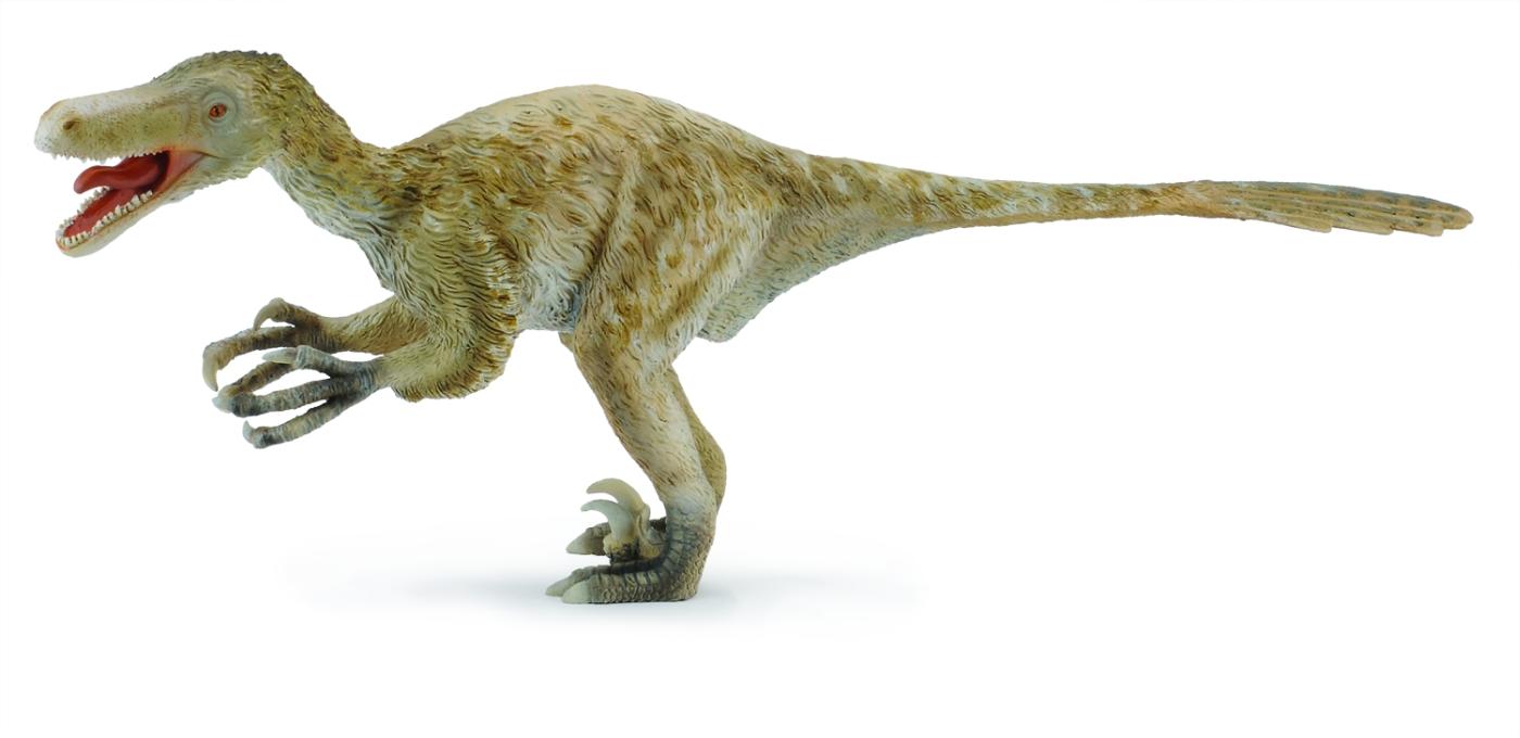 CollectA Velociraptor - Deluxe 1:6 Scale 88407 approx.31,4x12,1cm