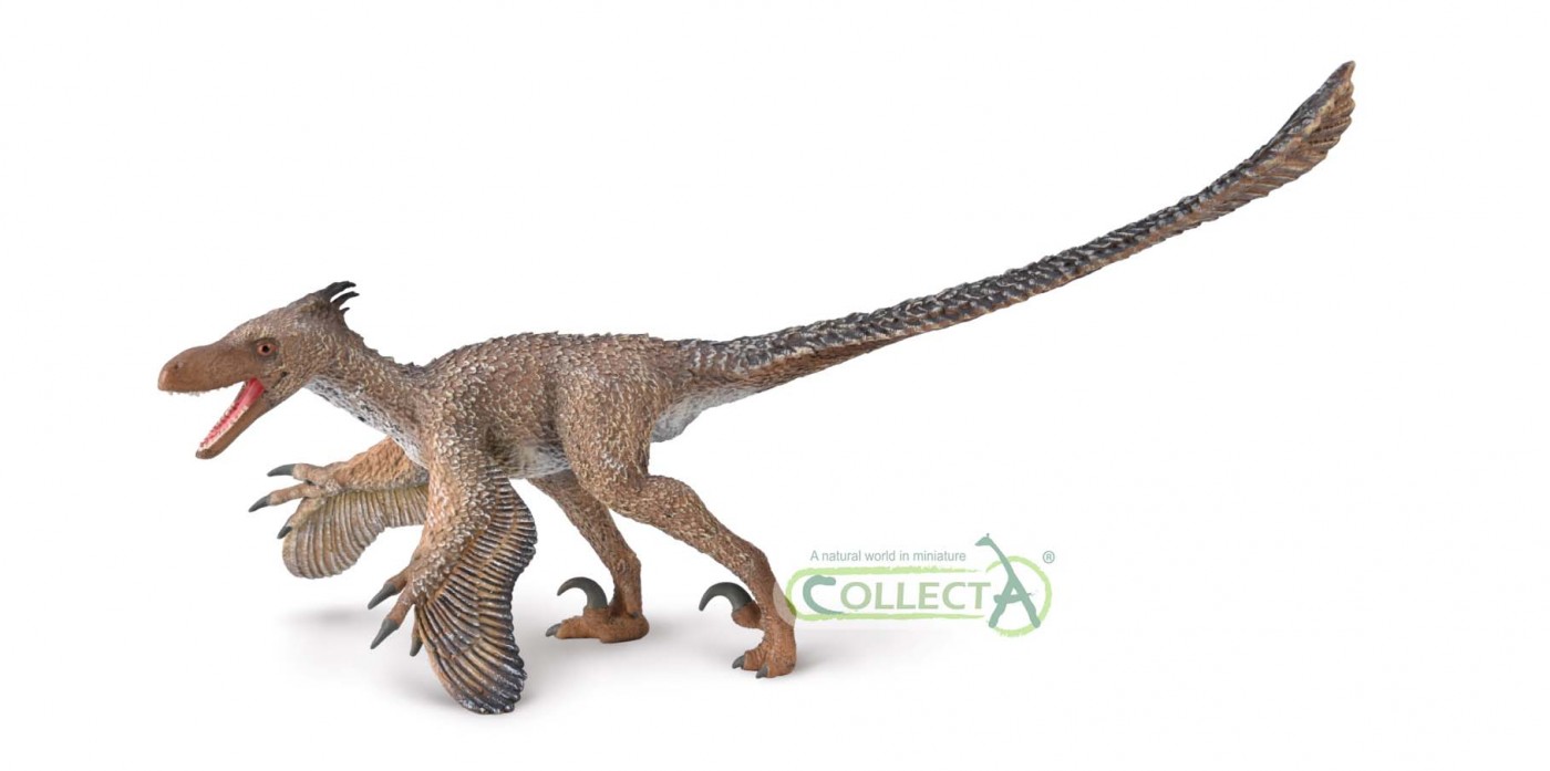 CollectA Velociraptor mit beweglichem Kiefer - Deluxe 1:6 Ma�stab 80010