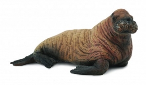 CollectA 88570 Walrosskalb - Tierfiguren - Figuren bei spielzeug-guenstig.de
