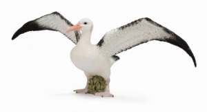 CollectA Wilde Tiere: CollectA Wanderalbatros 88765
