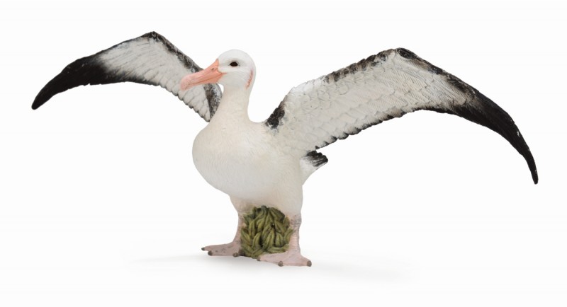 CollectA Wandering Albatross 88765
