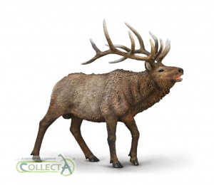 CollectA Waldtiere: CollectA Wapiti 80021