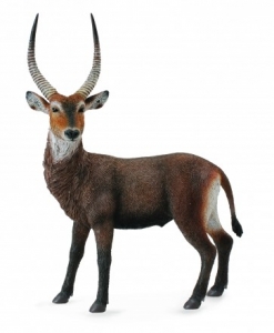 CollectA 88562 Wasserbock - Tierfiguren - Figuren bei spielzeug-guenstig.de