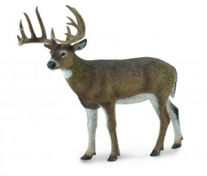 CollectA Waldtiere: CollectA Wei�wedelhirsch 88832