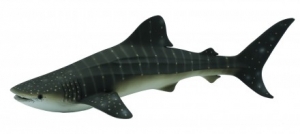 CollectA 88453 Whale Shark - animal figures at spielzeug-guenstig.de