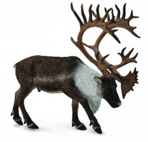 CollectA Woodland Caribou 88709 Wilde Tiere