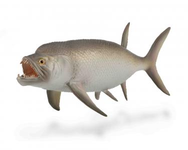 CollectA Urzeit Deluxe Ma�stab: CollectA Xiphactinus 88928