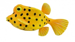 CollectA Sealife: CollectA Yellowish brown suitcase fish 88788