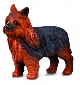 CollectA 88078 Yorkshire Terrier - Tierfiguren bei spielzeug-guenstig.de