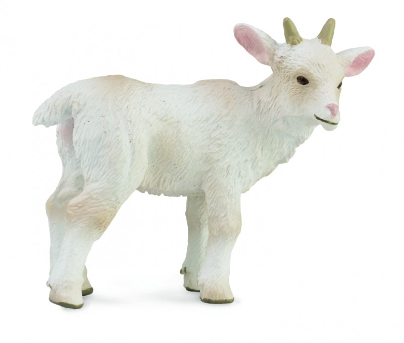 CollectA Ziegenjunges stehend 88786