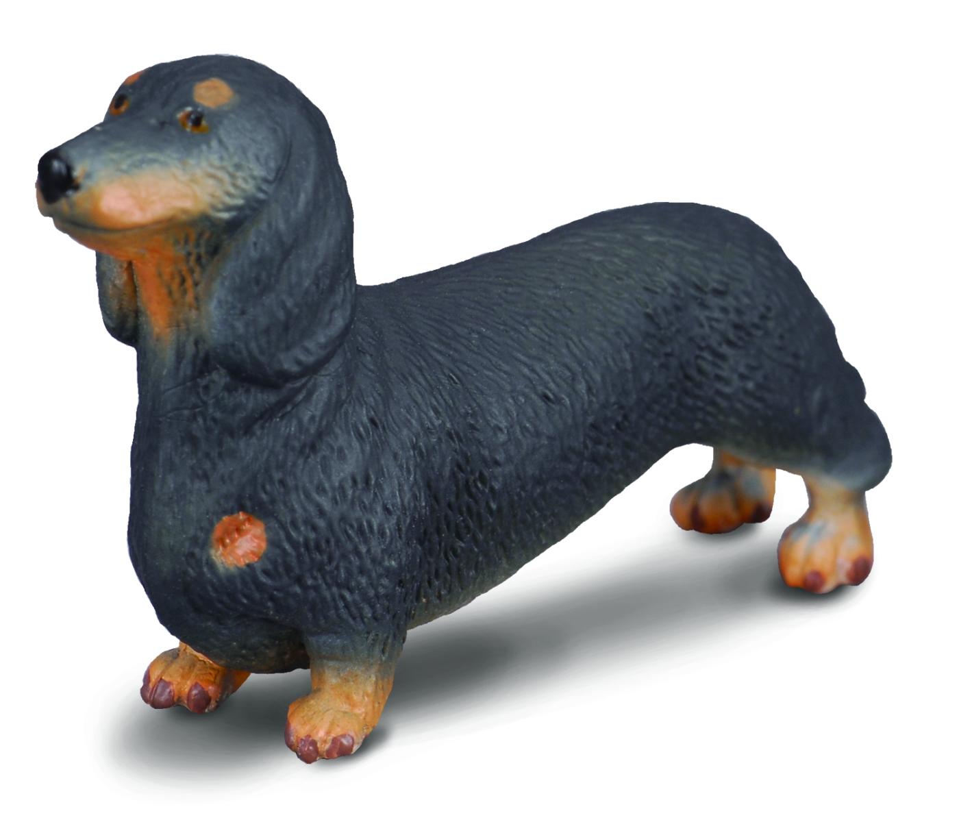 DACHSHUND DOG by Safari Ltd; toy/replica 
