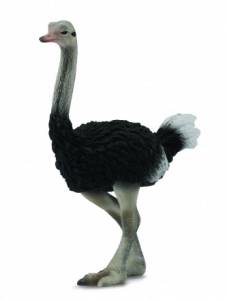 CollectA 88459 ostrich - animal figures at spielzeug-guenstig.de