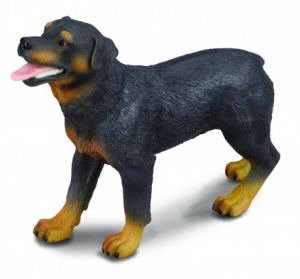 CollectA 88189 rottweiler - animal figures at spielzeug-guenstig.de