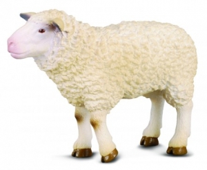 CollectA 88008 sheep - animal figures at spielzeug-guen