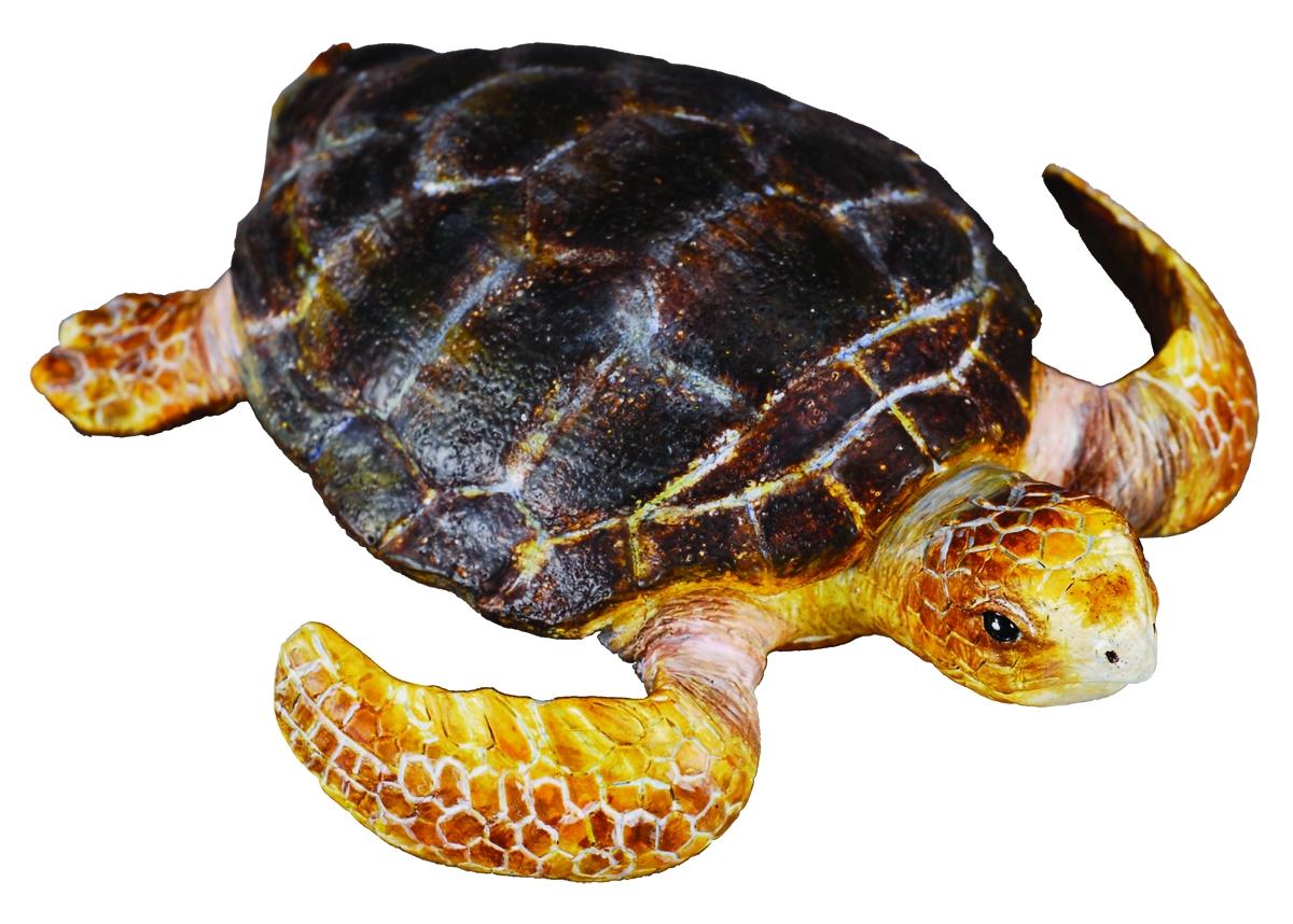CollectA small musk turtle 88094 approx.7x6.5x2cm