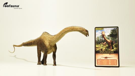 Diplodocus carnegii 1:40 eo007