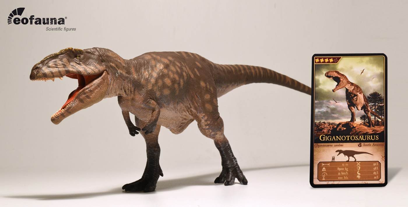 Giganotosaurus 1:35