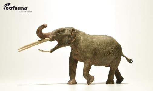 Konobelodon atticus 1:35 eo008
