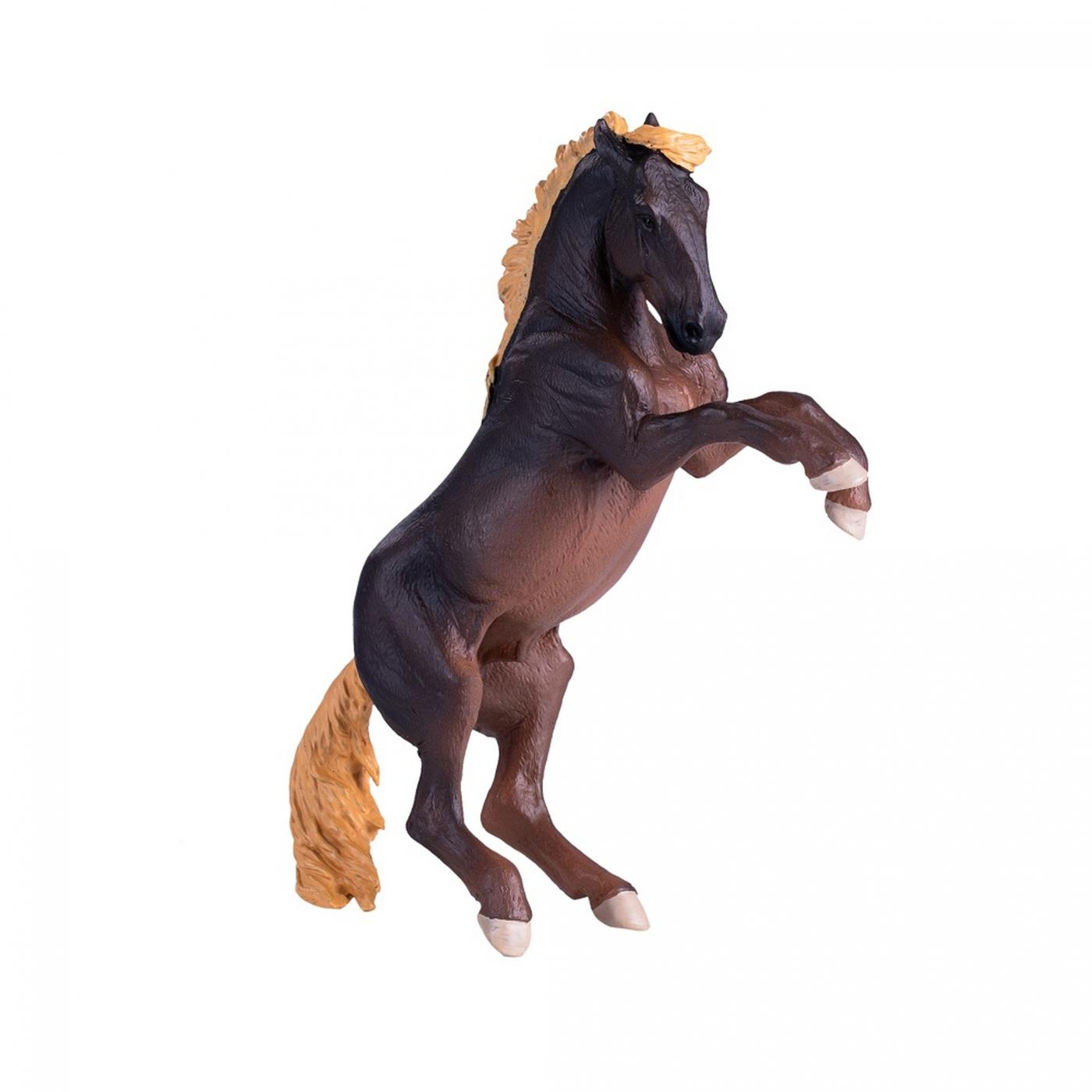Mojo Brumby Stallion 381060