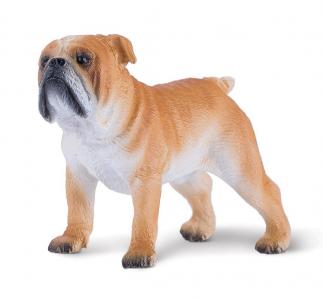 Mojo Englische Bulldogge 381053