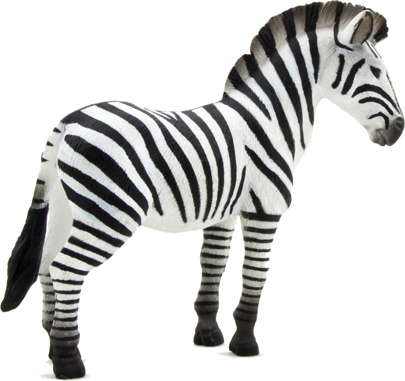 schleich zebra foal