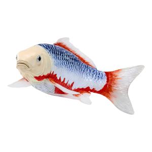 Mojo Koi Karpfen - Asagi Koi (blau-rot)