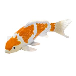Mojo Koi Karpfen - Ochiba Shigure Koi (Gold Wei�)