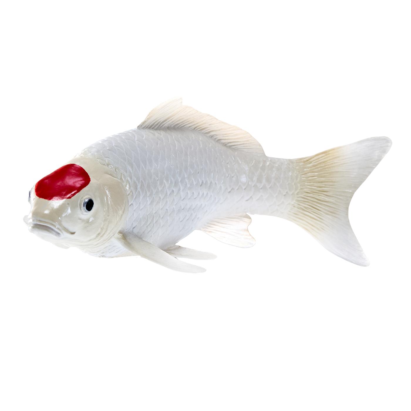 Mojo Koi Karpfen - Tancho Koi (roter Punkt)