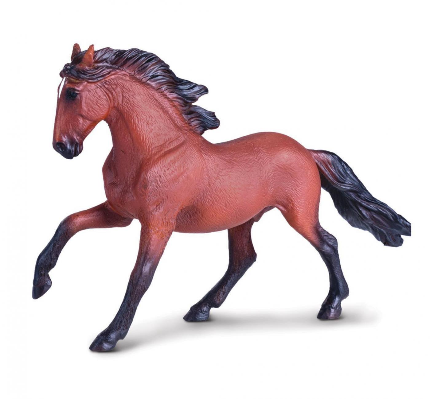 Mojo Lusitano Braun 381002