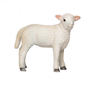 Mojo Romney Lamb standing 381065