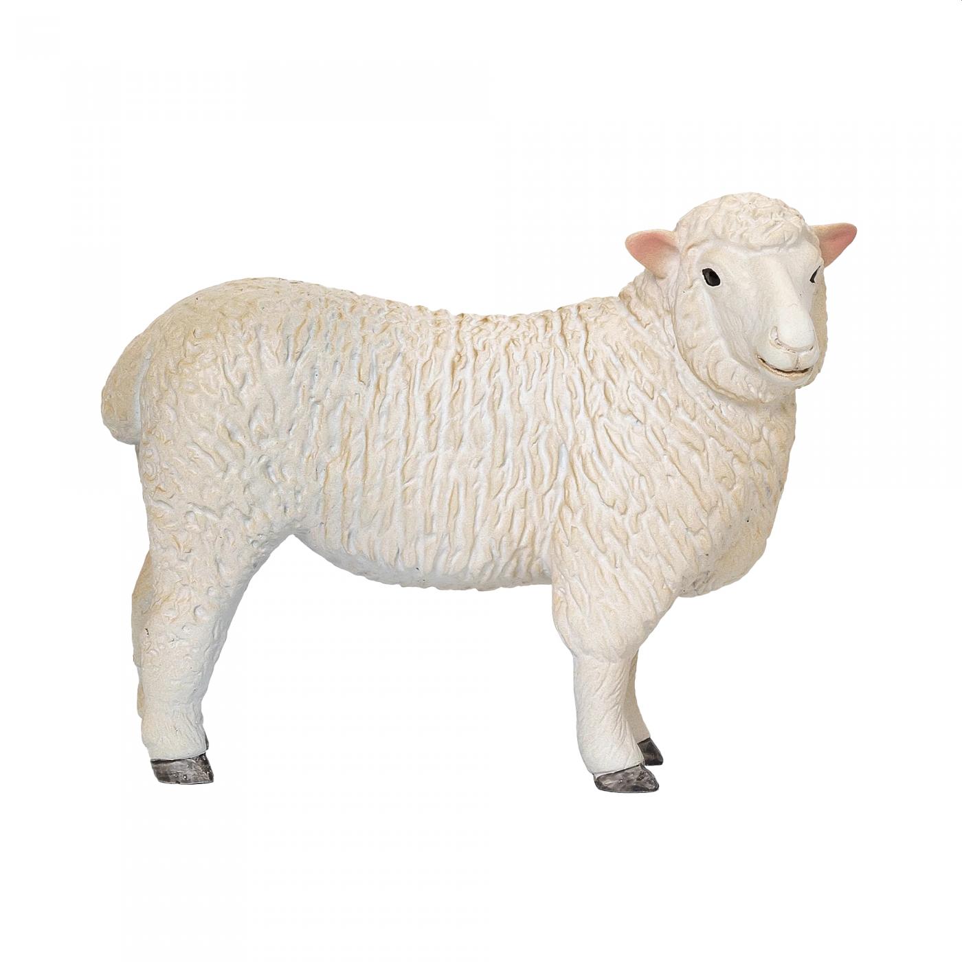 Mojo Romney-Schaf (Mutterschaf) 381064