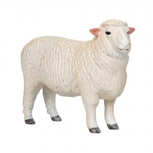 Mojo Romney-Schaf (Widder) 381063