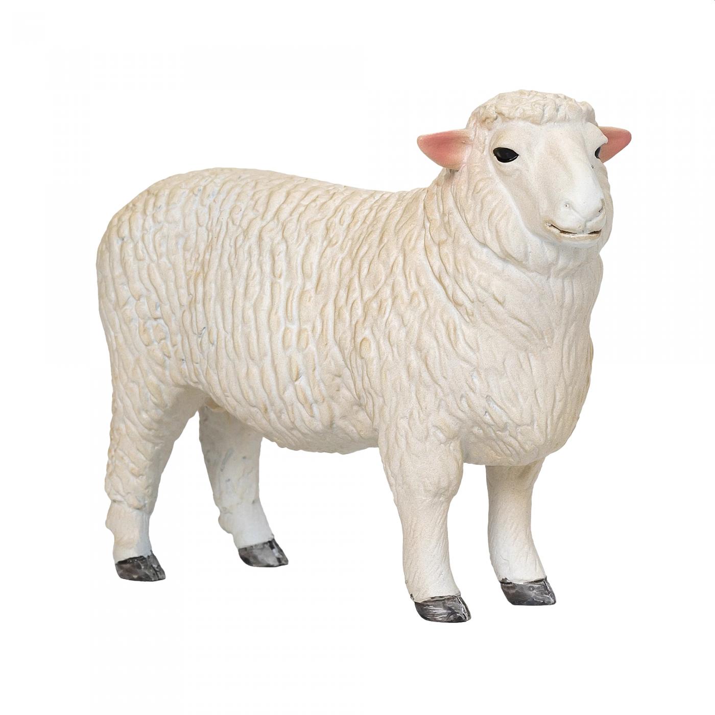 Mojo Romney Sheep (Ram) 381063