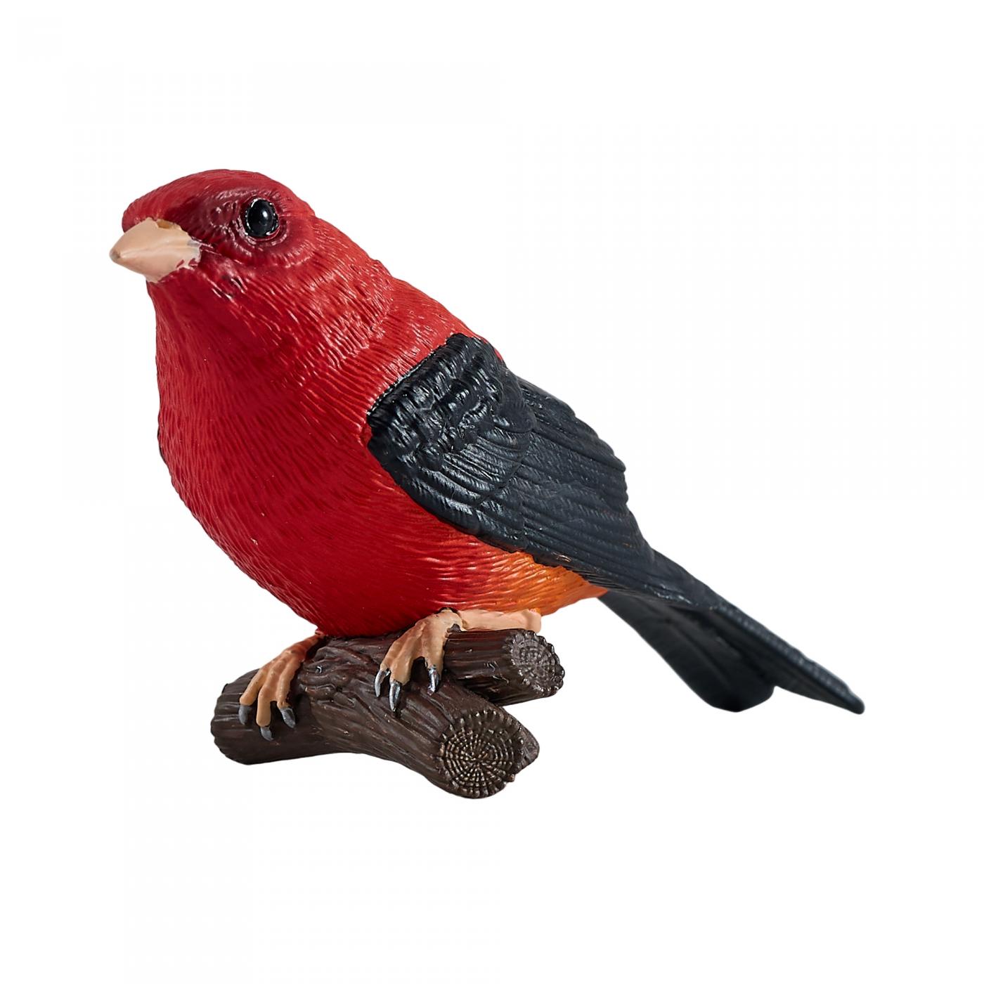 Mojo Scharlachkardinal 381144