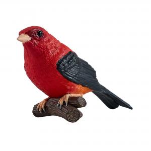 Mojo Scharlachkardinal 381144