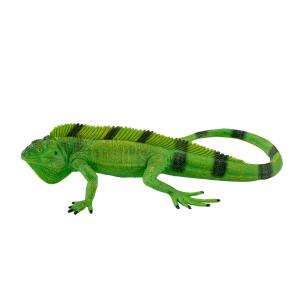 Mojo Wildlife Leguan