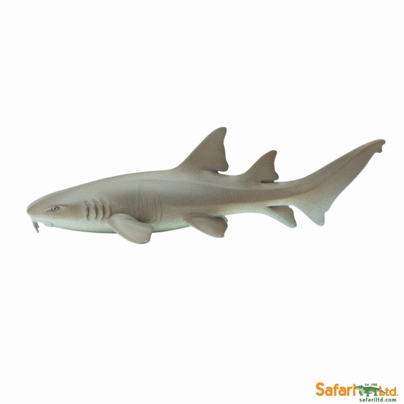 Nurse Shark
