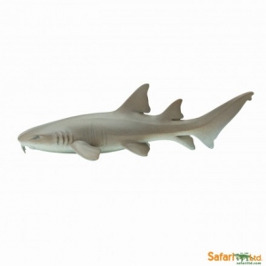 Safari Nurse Shark 2006 Sea Life