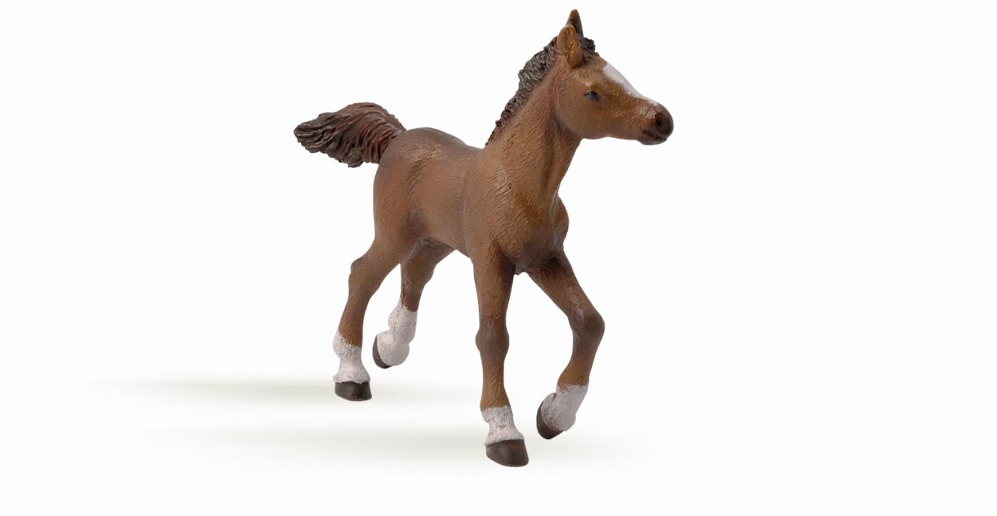 Papo Anglo-Arab foal 51076 approx.11x9cm