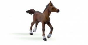 Papo 51076 Angel-Araber Fohlen - Tierfiguren bei spielzeug-guenstig.de