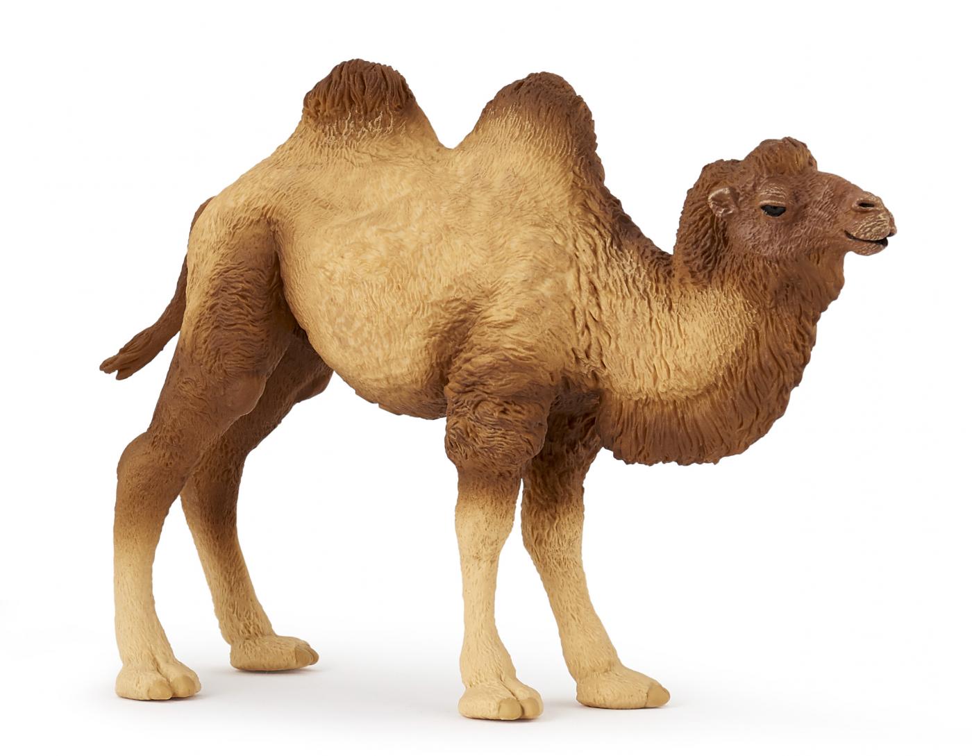 Papo Baktrisches Kamel Tierfiguren Figuren Bei Spielzeug Guenstig De