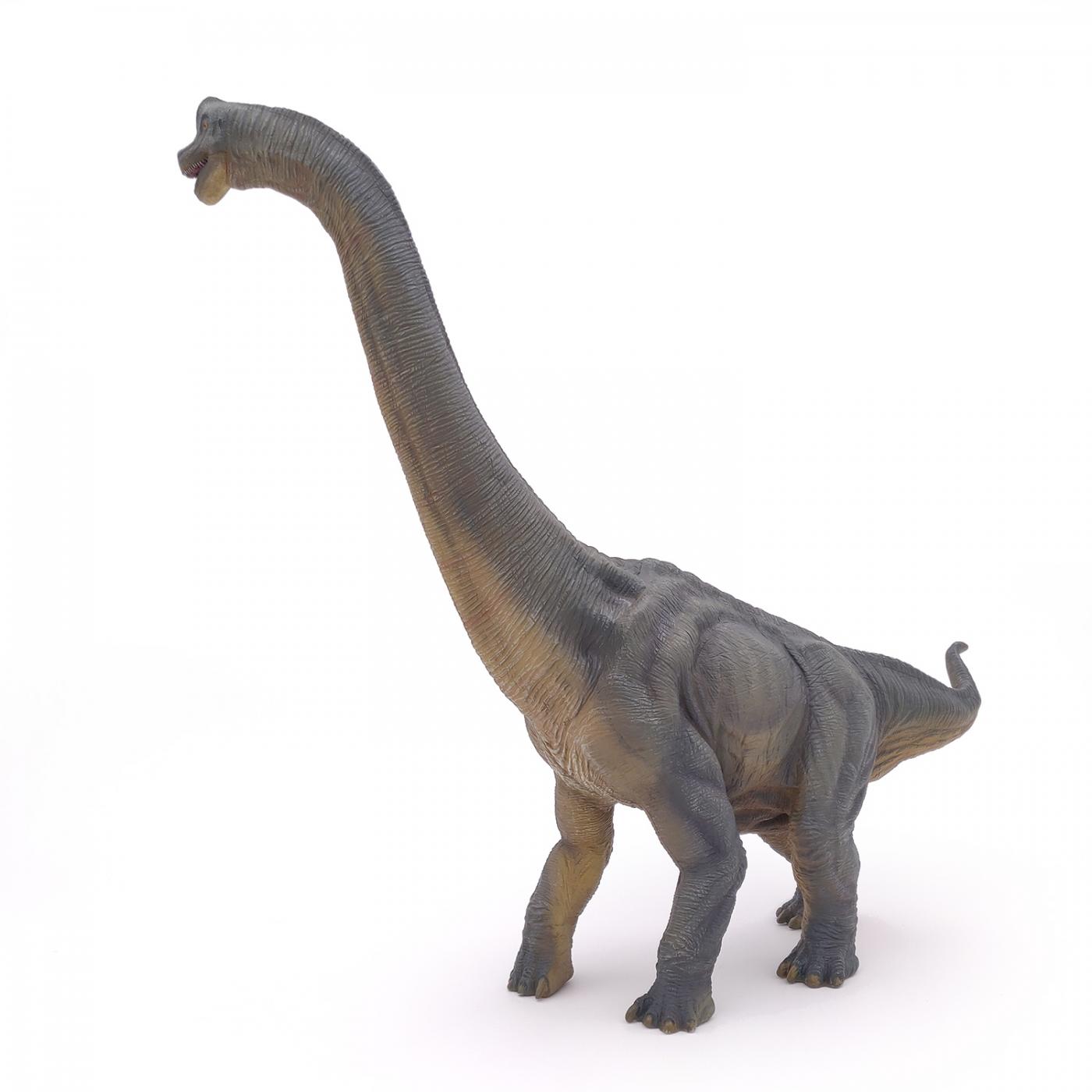 NEU Figur Dino Spielfigur Papo 55059 Dinosaurier Oviraptor blau 