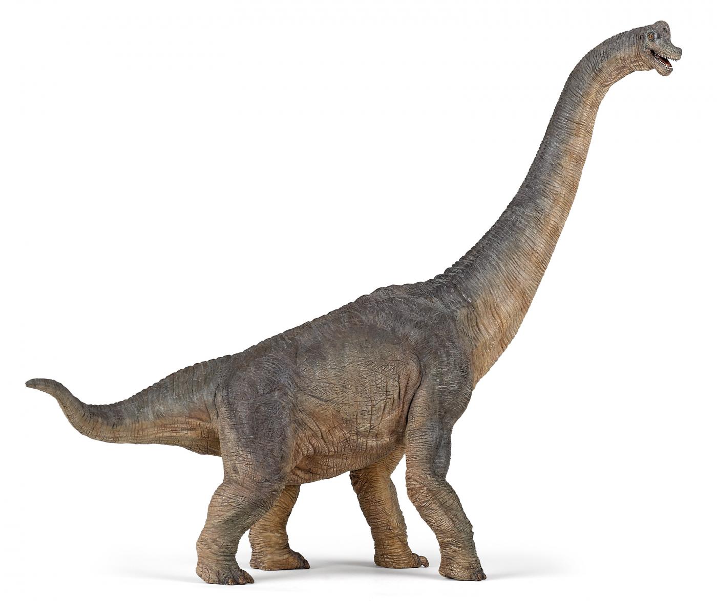 Papo Brachiosaurus 55030 ca.39.5x30cm