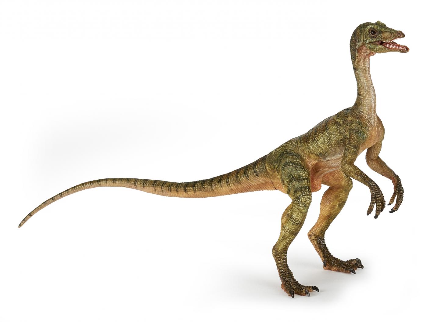 Papo 55070 Amargasaurus 24 cm Dinosaurier Neuheit 2018 