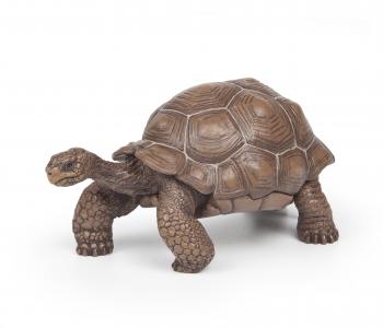 Papo 50161 Galapagos giant tortoise - animal figures at spielzeug-guenstig.de
